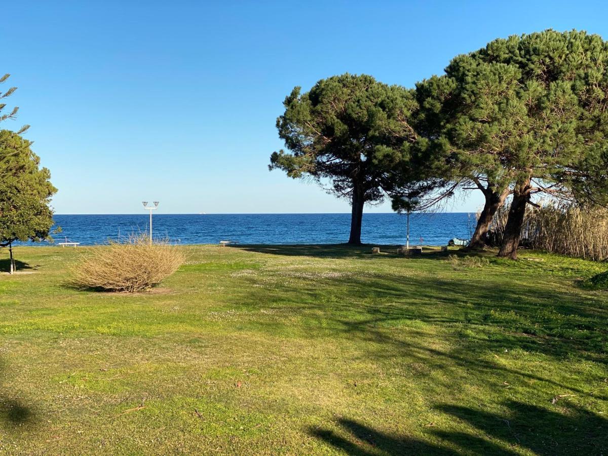 Residence Santa Lucia, Studio Avec Piscine , Vue Mer Et Pied Dans L'Eau , Moriani-Plage ภายนอก รูปภาพ